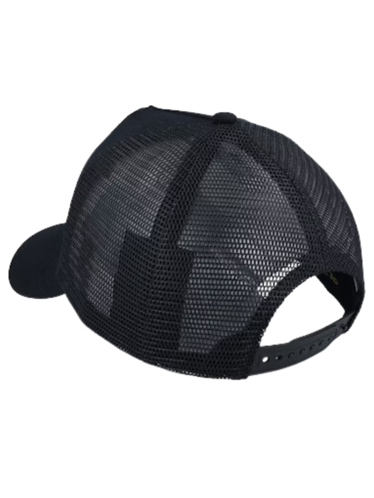 Ed Hardy Cap California-Dreamer Blak-Black