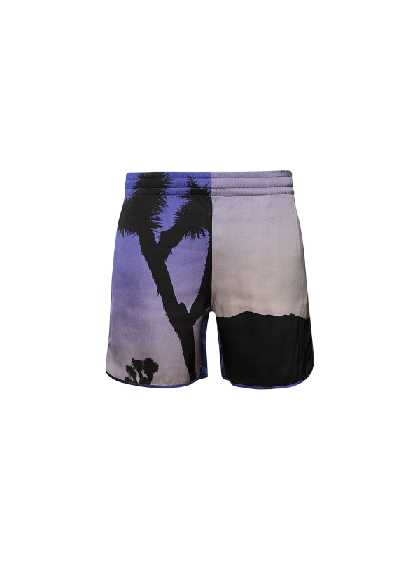 Blue Sky Inn Shorts Volcanic Allover Print